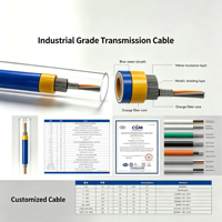 Cable de Alimentación Blindado de Doble Cubierta Rojo-Negro, Resistente a la Corrosión por Presión, para Ingeniería Municipal Subterránea