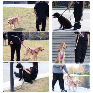 Crossbody Dog Leash Explosion Proof Hands Free Waist Leash For Pet Walking Outdoor Use - Product Image 1