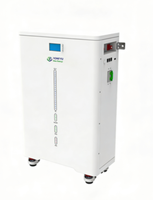 Baterai Rumah LiFePO4 Lithium 48V 51.2V 100Ah 200Ah dengan 6000 Siklus dan Suhu Operasi -20~60 untuk Penyimpanan Energi Surya