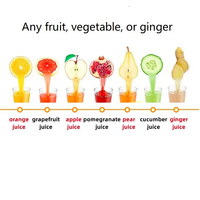 Extracteur de Jus Lent Commercial Double Engrenage Multifonction pour Pommes, Gingembre et Tous Types de Fruits