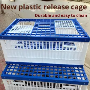 Kuşlar için eğitim raporlama ve uçuş için doğrudan satış katı desen plastik güvercin kafesleri - Product Image 5