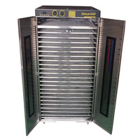 Kokosnoot Chips Dehydrator Machine Industriële En Commerciële Fruitdroogmachine Prijs