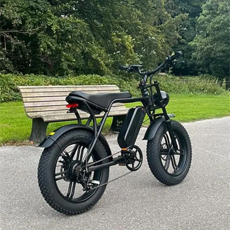 OUXI Vélo tout-terrain électrique V8 de 1 000W et 20 pouces à gros pneus, cruiser à vitesse SHIMANO, vélo électrique, vélo électrique tout terrain, en stock en Europe et aux États-Unis