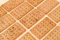 Biscuits sans gluten haute énergie Gaufrettes croustillantes Lait Sel Soda Saveurs Texture dure Croustillant Goût sucré Sachets certifiés Halal