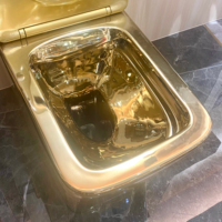 Appareil sanitaire de style luxueux monté au sol WC or argent salle de bain céramique deux pièces toilette commode pour hôtel maison