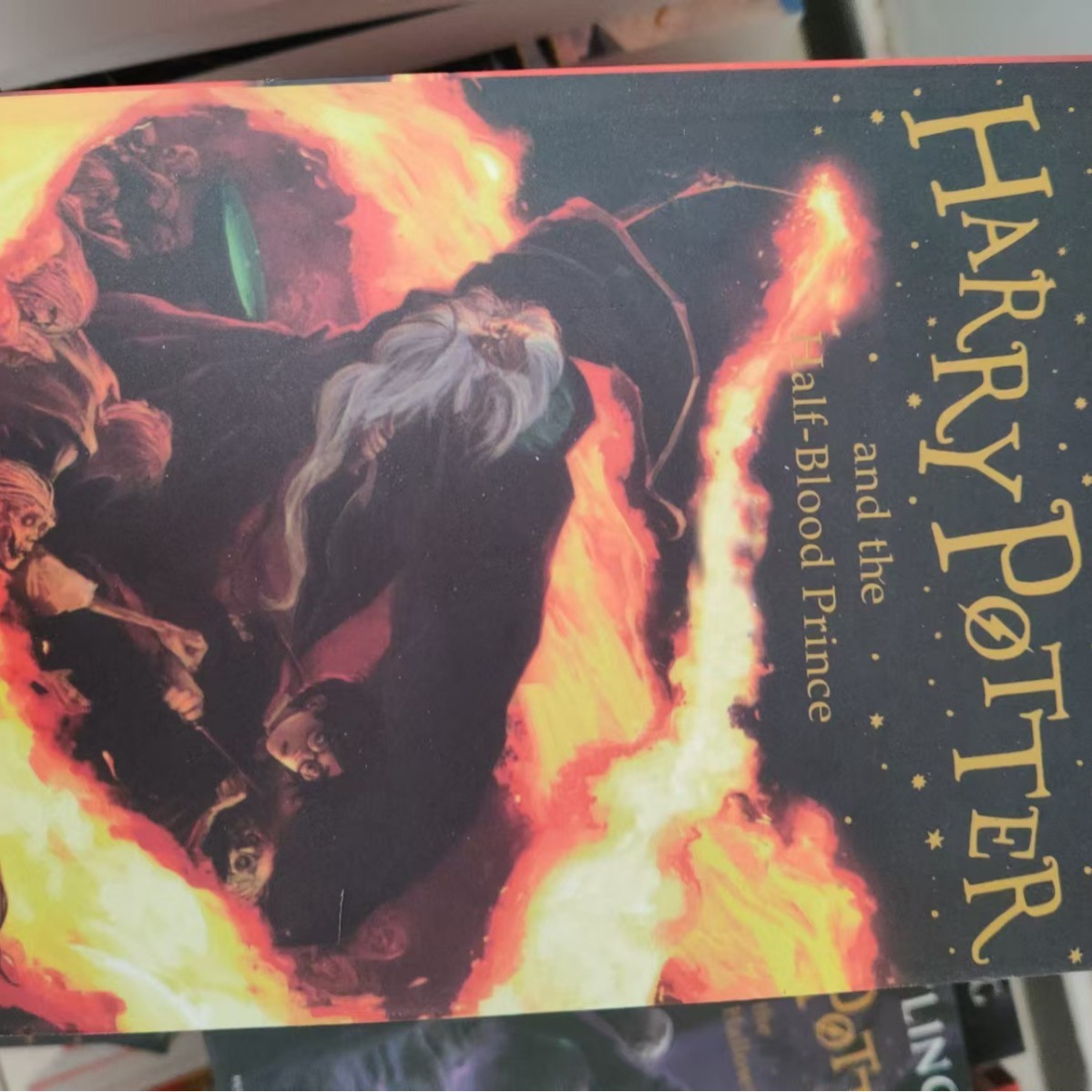 Libro seis