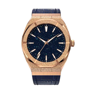Montre pour homme de haute qualité, style Paul, luxueuse, résistante à l'eau, entièrement en acier inoxydable, montre analogique givrée pour homme - Product Image 4