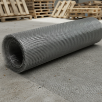 Grillage en acier galvanisé soudé de qualité supérieure, structure stable pour la construction et la protection
