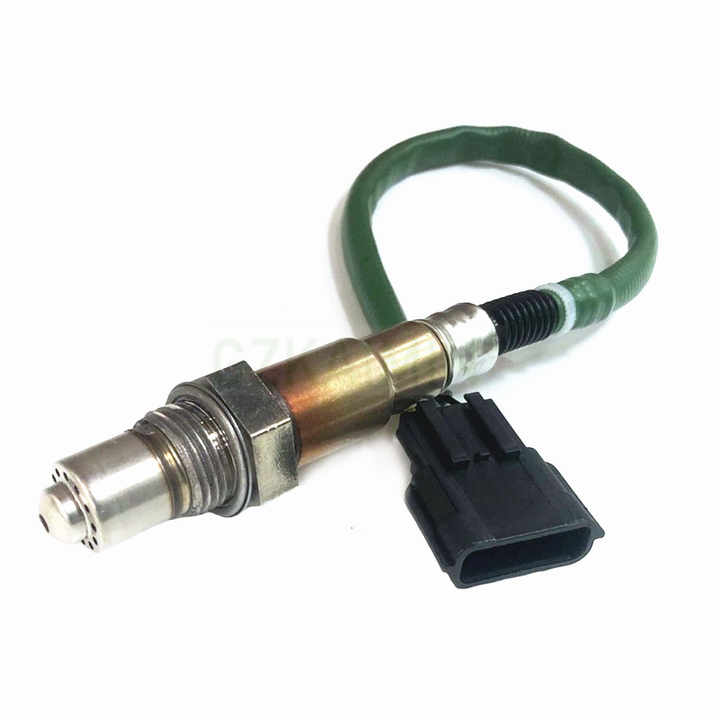 バカラ パルメ タンブラー [2Z-3298] | サークルワン商品情報