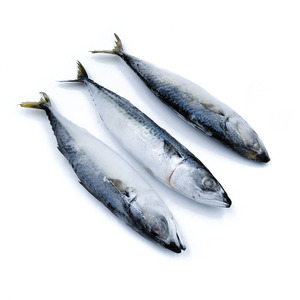 <span class=keywords><strong>Maquereau</strong></span> du Pacifique Congelé, Poisson Congelé, <span class=keywords><strong>Maquereau</strong></span> 400-600g, Vente en Gros de Fruits de Mer - Product Image 1