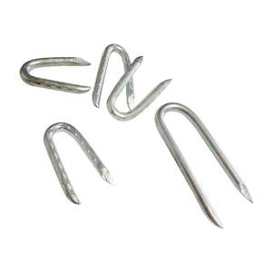 Agrafes en acier galvanisé Q195 <span class=keywords><strong>pour</strong></span> clôtures en fil métallique et clôtures tissées, clous en U - Product Image 2