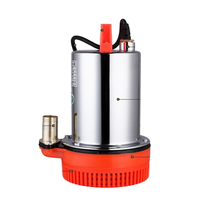 Pompe à eau submersible portable DC pour la maison et les véhicules électriques 12V/24V/48V/60V/72V