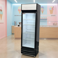 Réfrigérateur commercial vertical professionnel pour boissons avec porte vitrée