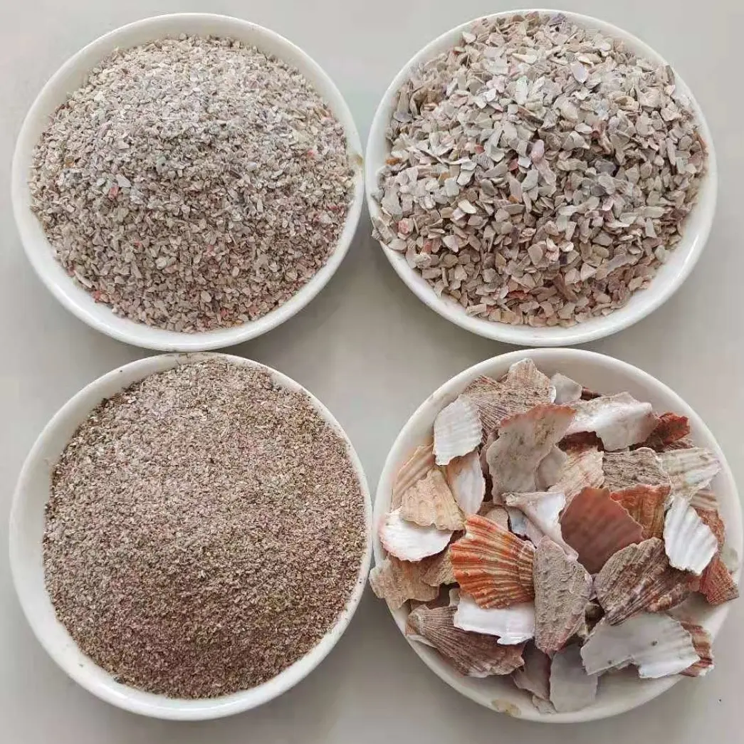Fornitura produzione di mangime per animali gusci di capesante in polvere 10-30mesh guscio di ostrica frantumato in polvere