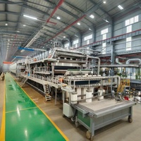 Planta de Reciclaje de Materiales de Desecho de 100t/Día, Máquina para Reciclar Cartón Corrugado y Cartón Dúplex