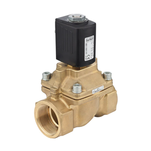 Repuestos de pistón chinos para montaje sobre patines con solenoide Burket 6407 servoasistido de 2/2 vías - Product Image 4