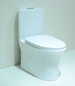 High-end 1 Piece Toilet Ceramic Commode Contemporary Closestool Siphonic Dual Flush Inodoro