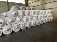 Tissu tissé en polyester et nylon, enduit, 500 g/m², léger, pour le renforcement des bandes transporteuses en caoutchouc