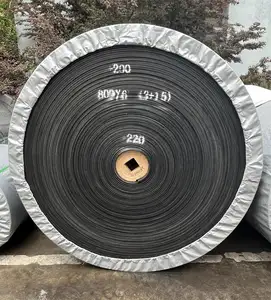 סין כריית פחם עמיד בחום אינסופי Eb200 גומי Ep פוליאסטר מחיר רצועת מסוע