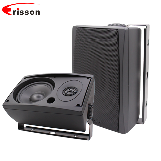 Водонепроницаемая 5,25 дюймовая настенная домашняя акустическая система с логотипом под заказ, двусторонняя настенная акустическая система