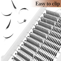 Extensions de cils Anime Spire, Nouveau style Fox Spire, Forme plumeuse style manga, 0.07mm, Mix 8-15mm, Cils volume