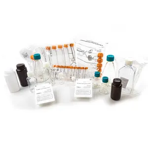 Labor quadrat Zellkultur kolben Serum flaschen mit präziser Skala und Haustier material flasche