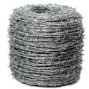 Fil de fer en acier inoxydable de haute qualité, rouleau de 250 m ou 500 m, clou, résistant à la rouille, galvanisé, grillage <span class=keywords><strong>barbelé</strong></span>, marché sud-américain, paire torsadée - Product Image 1