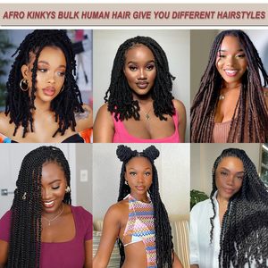 Cheveux humains <span class=keywords><strong>afro</strong></span> crépus en vrac de 8 à 20 pouces pour extensions de dreadlocks, réparation de locs et tresses, cheveux humains <span class=keywords><strong>afro</strong></span> crépus en vrac 100 % naturels - Product Image 4