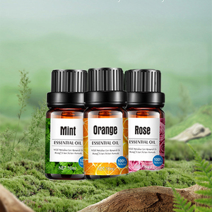 Fragrance Perfume 1000 Pure Oils Aromas Aroma Pure Concentrated Essential Oil Rose <strong>Lemon</strong> Eucalyptus Lavender Ginger 100ml - Product Image 6