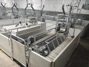 Nueva condición Hierro Acero Galvanizado Cerdo Jaula de maternidad Cerda Jaulas de parto 1,8x2,4 m Ventilación de presión positiva Automática - Product Image 3