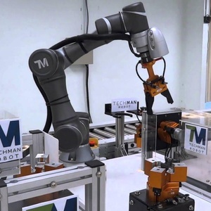 Solutions de palettisation robotisée Techman, Opérateur de palettisation TM, Automatisation de la palettisation, Bras robotisé Techman Cobot avec charge utile de 5 à 35 kg - Product Image 2