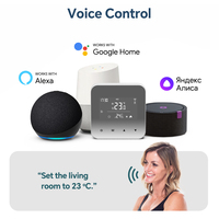 Thermostat de chaudière Tuya Gateway Zigbee avec panneau miroir, contact sec, alimentation par batterie/USB, verrouillage enfant, contrôle de chauffage anti-gel
