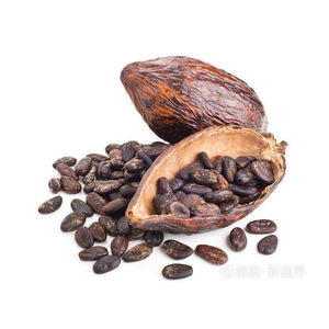 Bột ca cao cao cấp tự nhiên & alkalized, không đường hữu cơ tự nhiên và alkalized bột ca cao - Product Image 3