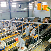 ENAK Industriële machine voor de verwerking van ingeblikte mandarijnen, productielijn voor ingeblikt groente- en fruitproducten
