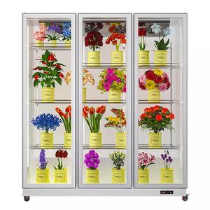 <span class=keywords><strong>ตู้</strong></span><span class=keywords><strong>แช่</strong></span><span class=keywords><strong>ดอกไม้</strong></span>แบบแ<span class=keywords><strong>สด</strong></span>งสินค้า <span class=keywords><strong>ตู้</strong></span><span class=keywords><strong>แช่</strong></span><span class=keywords><strong>ดอกไม้</strong></span><span class=keywords><strong>สด</strong></span> <span class=keywords><strong>ตู้</strong></span>เย็นสำหรับ<span class=keywords><strong>ดอกไม้</strong></span> - Product Image 5
