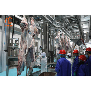 Ligne d'abattage automatique du bétail, usine de transformation du bœuf, équipement d'abattoir halal avec acier de haute qualité - Product Image 4