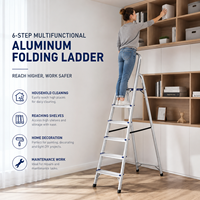 Échelle télescopique pliante en aluminium multi-usages OEM à 6 marches, conforme à la norme EN131, pour les travaux de construction domestique