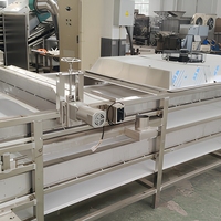 Hete verkoop Fruit & Groente Hetelucht Droogmachine met Motor SUS304 RVS Continue Band Dehydrator 500kg/u Capaciteit
