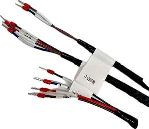 Shanyou ชุดประกอบสายไฟและสายรัดสายไฟแบบกำหนดเองพร้อมใบรับรอง22-28AWG ISO9001สำหรับการใช้งานทางอิเล็กทรอนิกส์ - Product Image 3