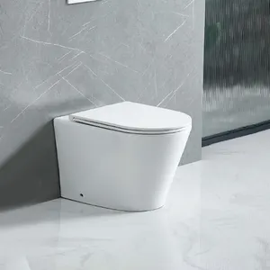Bano Modernos Ceramic Floor Mounted Back To Wall P Pan Trap Dual Flush Toilet Bowl