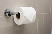 Rouleau de papier toilette en bambou matelassé sans mandrin, 2 plis, doux, jetable, pour usage domestique