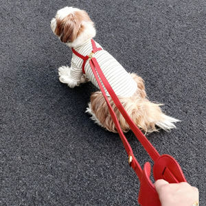 Manos libres 8.2ft Multifuncional Crossbody Dog <span class=keywords><strong>Leash</strong></span> Correa de entrenamiento ajustable con asa para cachorros pequeños - Product Image 4