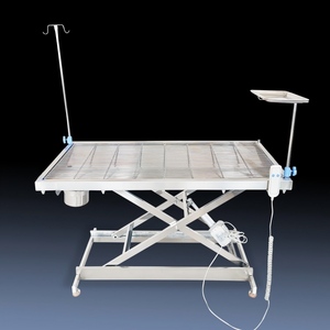 कुत्तों के लिए स्टेनलेस स्टील इलेक्ट्रिक पशु चिकित्सा चिकित्सा चिकित्सा तालिका 1 साल की वारंटी मुक्त स्पेयर पार्ट्स शामिल - Product Image 2