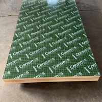 Panneau de contreplaqué de coffrage PP de 18 mm, 12-21 mm, vert, imperméable, avec face plastifiée pour coffrage en béton