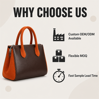 Bolso de Mano de Cuero de Lujo para Mujer, Bolso Tipo Satchel Bicolor con Ribete de Gamuza, Asa de Transporte y Correa Desmontable, Venta al Por Mayor, Personalizado OEM