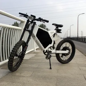 Chinese Suppliers Ebike 3000w/4000w Enduro Electric Mountain Bike Full Suspension Electric Bicycle Mtb