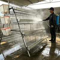 Pondoir automatique en acier de type A Linchuan, capacité 96-160 poulets, conception à étages, nettoyage facile, garantie 5 ans, nouvelle longue durée de vie
