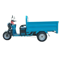 Triciclo de Carga Eléctrico Personalizado de Tres Ruedas con Carrocería Abierta, Motor sin Escobillas, Frenos de Disco Delanteros/Freno de Tambor Trasero, Capacidad de Carga de 100-200 kg, Alcance de 90 km