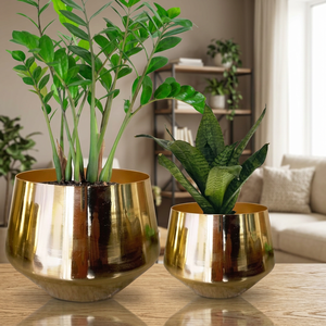 Maceta Moderna de Lujo en Metal Dorado Cromado para Plantas Verdes de Interior - Product Image 5