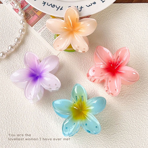 Pinces à cheveux en plastique PYC motif fleur hawaïenne 5x5x3cm pour femmes et filles, accessoires de mode décontractés, vente en gros - Product Image 3
